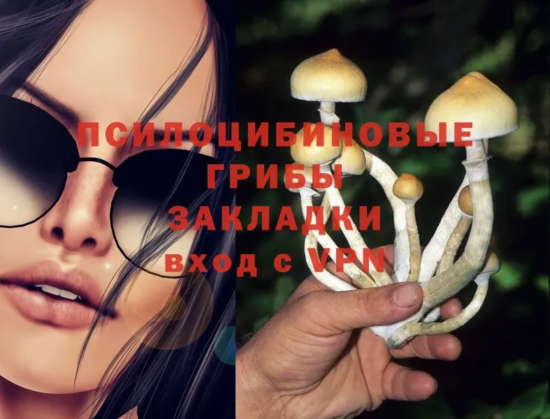 МЕГА рабочий сайт  Кириллов  Псилоцибиновые грибы MAGIC MUSHROOMS  купить  